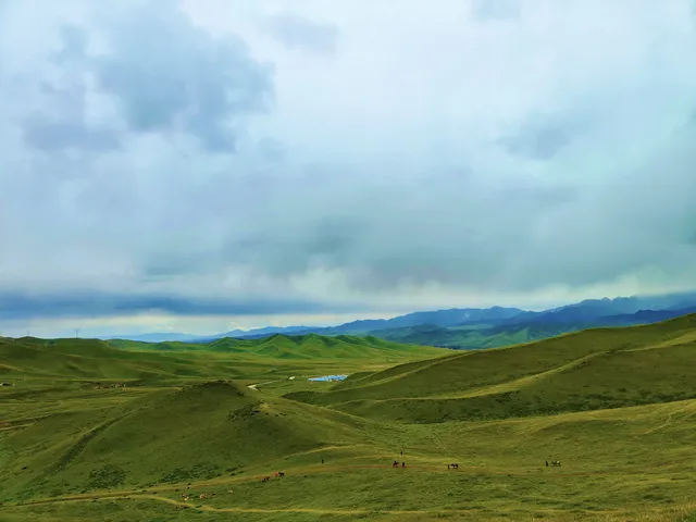 烏鞘嶺：藏在雲霧中的絕美秘境 