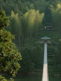 錯峰親子遊|南山竹海+天目湖超全攻略