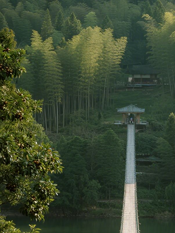 錯峰親子遊|南山竹海+天目湖超全攻略 錯峰親子遊|南山竹海+天目湖超全攻略