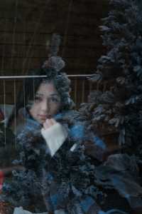 雪國莊園｜在霧淞裡泡成了冬日軟糖