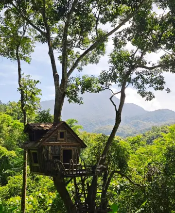 海南五指山也太絕了吧！雨林秘境+避暑聖地玩法大公開！