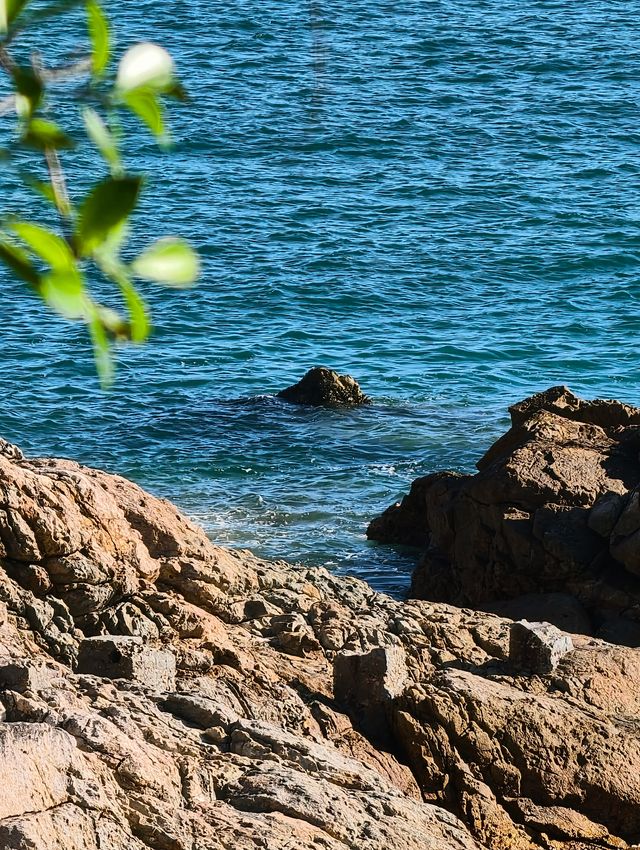 深圳好看的海都是免費的不輸國外