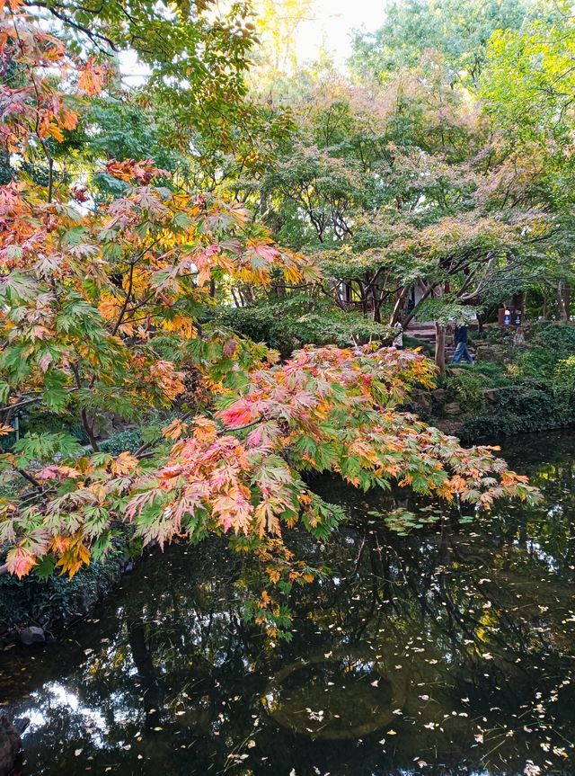 小橋流水古風祕境