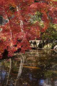 大山崎山莊美術館