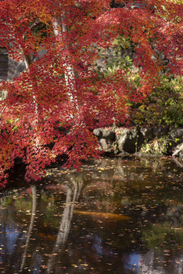 大山崎山莊美術館