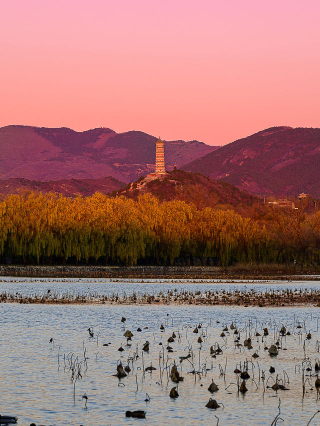 1204頤和園日出，西山橘紅像七彩丹霞