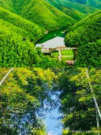 一半是湖水,一半是竹海,溧陽的美,超出你想像!