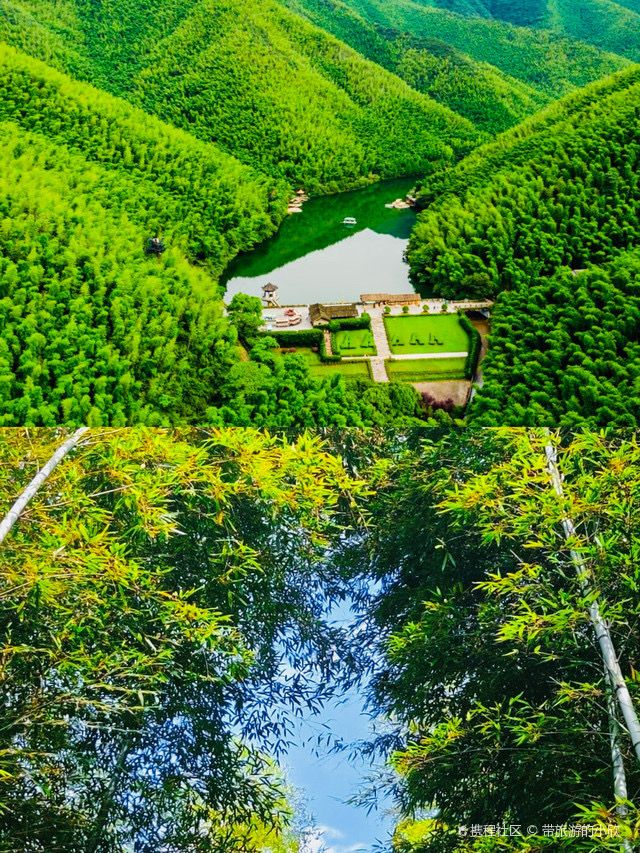 一半是湖水,一半是竹海,溧陽的美,超出你想像! 一半是湖水,一半是竹海,溧陽的美,超出你想像!