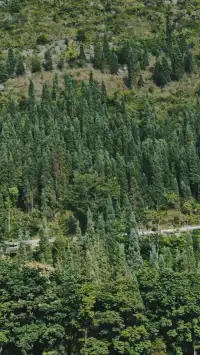 興義:高鐵開通!週末逛峽谷看瀑布(無車版