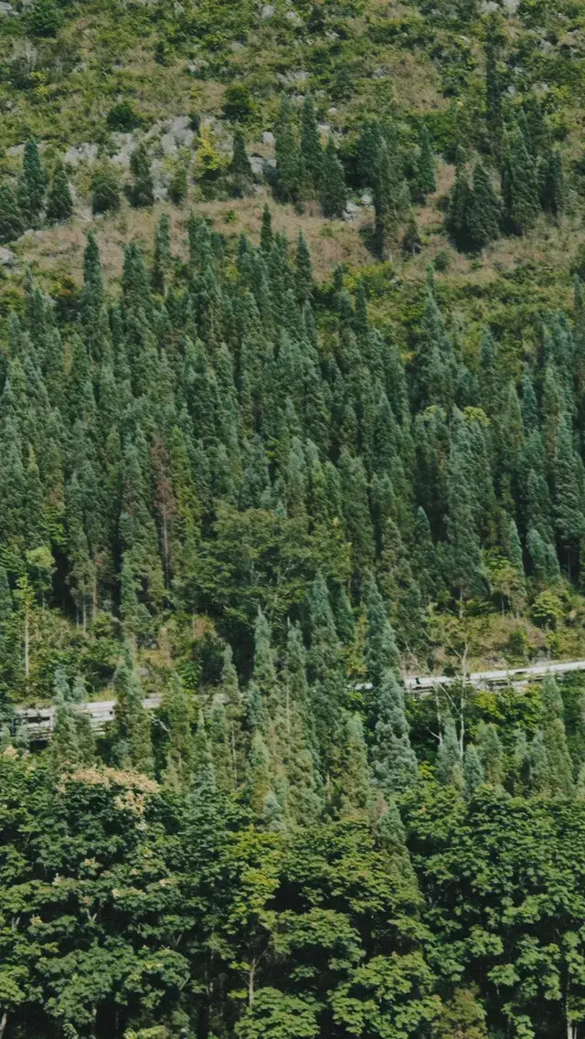 興義:高鐵開通!週末逛峽谷看瀑布(無車版 興義:高鐵開通!週末逛峽谷看瀑布(無車版