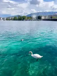 瑞士4天3晚攻略少女峰一日遊(下)