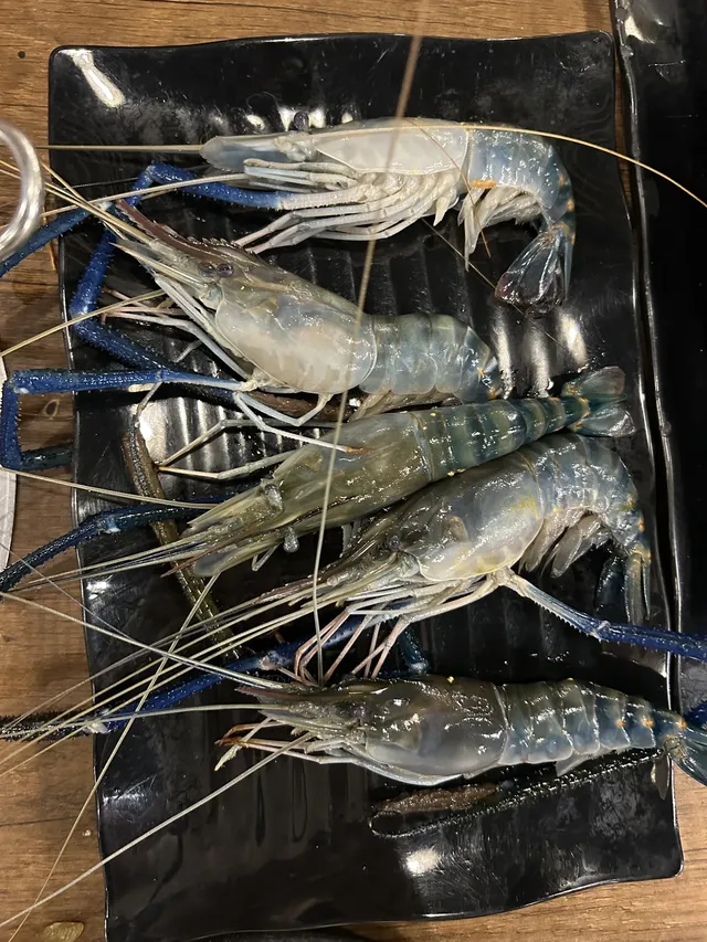 岘港,我要說點大實話了 岘港,我要說點大實話了