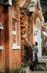 沉浸式吸氧治癒中山公園漫遊攻略