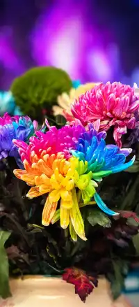 快樂的開封四日遊（下）