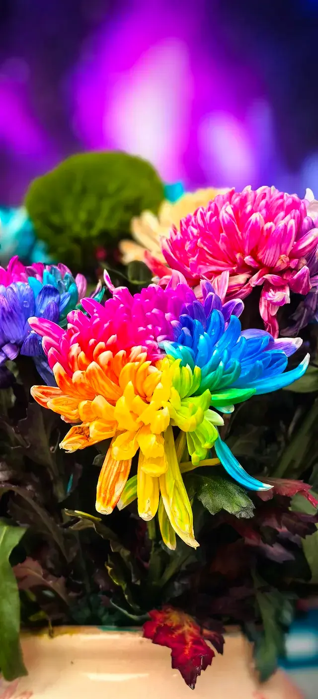 快樂的開封四日遊（下）