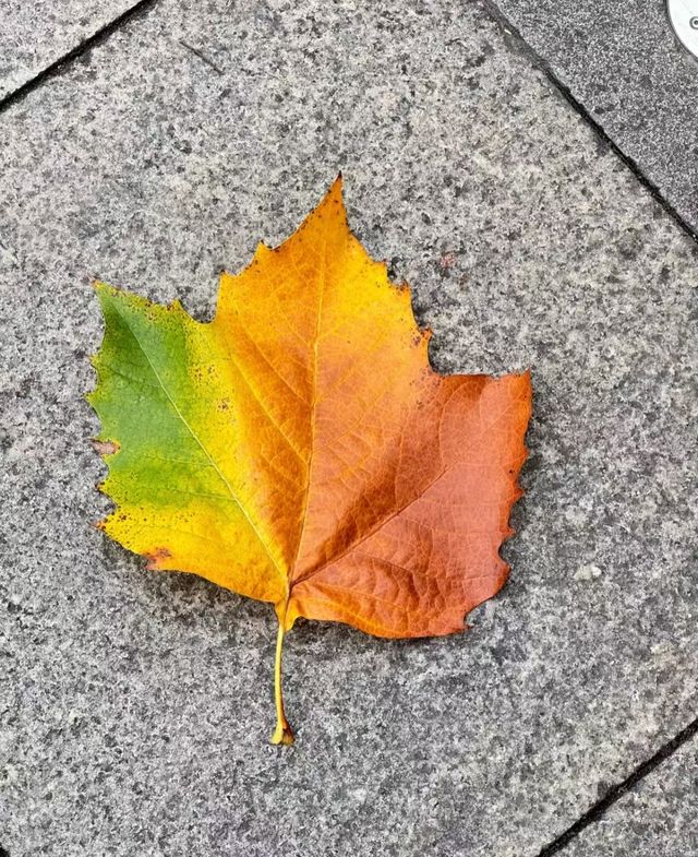 昆明的秋天 昆明的秋天