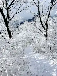 12月中莽山現狀,冷到哭,崩潰到想逃...