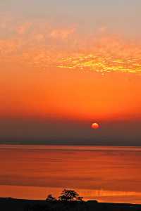 江浙滬冬季限定|0元打卡山頂橘子海日落絕絕子!