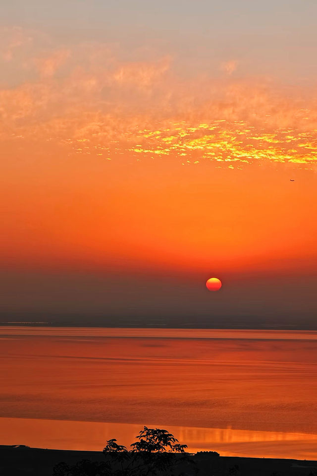 江浙滬冬季限定|0元打卡山頂橘子海日落絕絕子! 江浙滬冬季限定|0元打卡山頂橘子海日落絕絕子!