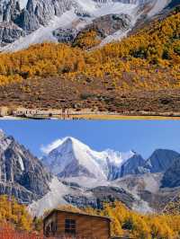 10.28實拍live~稻城亞丁秋色爆表!美到窒息