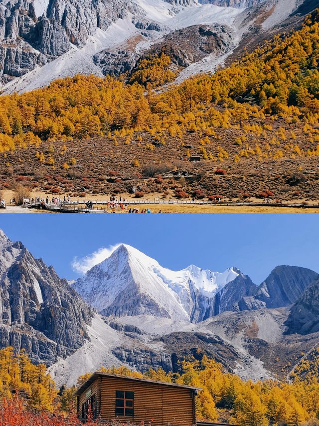 10.28實拍live~稻城亞丁秋色爆表!美到窒息 10.28實拍live~稻城亞丁秋色爆表!美到窒息