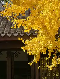 打翻調色盤,最後一次這個視角做寄暢園封面