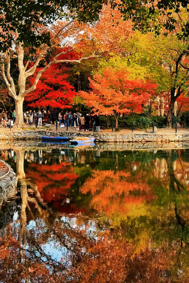 上海魯迅公園｜秋日限定！紅葉與暖陽的絕美約會地