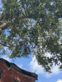 泉州包車遊解鎖小眾寶藏地