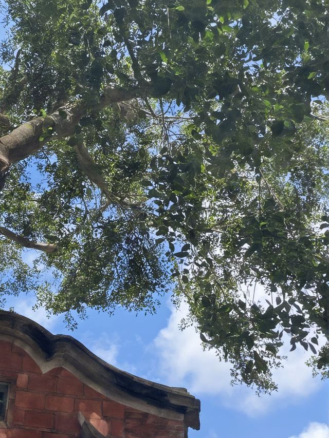 泉州包車遊解鎖小眾寶藏地