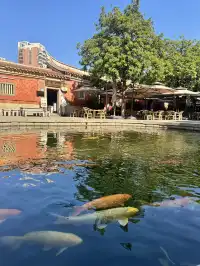 福建泉州|梧林五店市蟳埔一日遊高效玩法