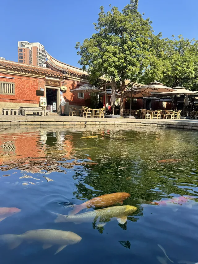 福建泉州|梧林五店市蟳埔一日遊高效玩法 福建泉州|梧林五店市蟳埔一日遊高效玩法