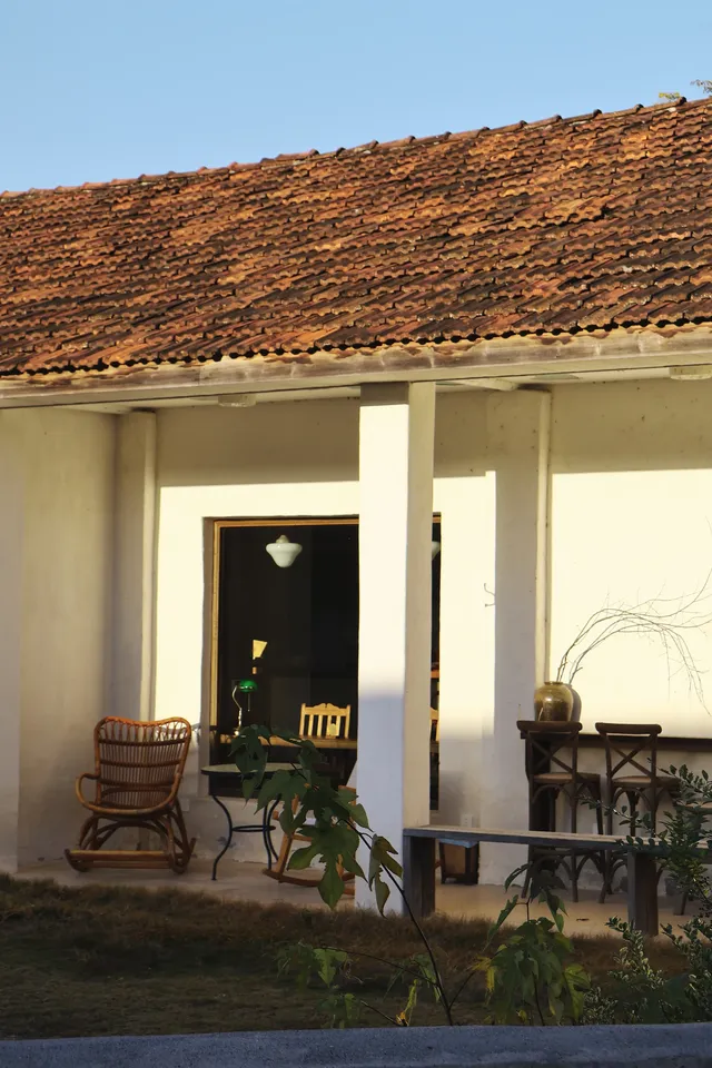 環境滿分的千島湖民宿 環境滿分的千島湖民宿