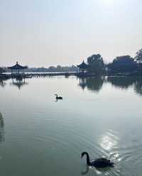 尚湖秋日醉美秘境