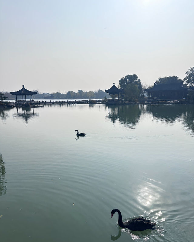 尚湖秋日醉美秘境 尚湖秋日醉美秘境