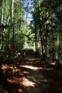 第三次暴走村!宏村塔川徒步太絕了