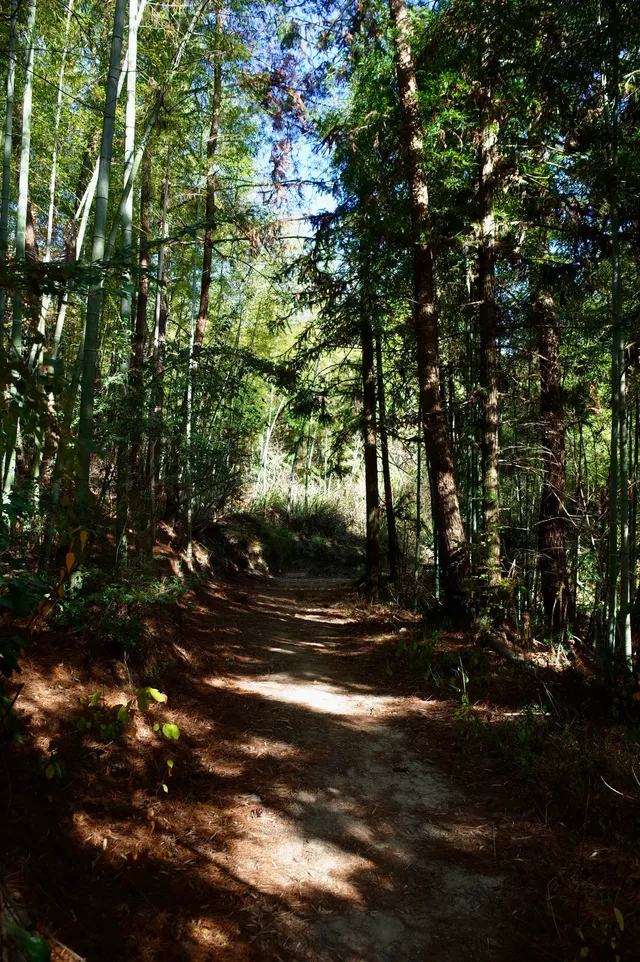 第三次暴走村!宏村塔川徒步太絕了 第三次暴走村!宏村塔川徒步太絕了