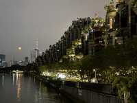 無懼秋老虎,打卡「千樹」之城,歷史的變遷,不定期更新