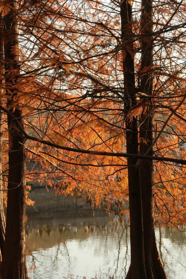 南京秋冬懶人路線 南京秋冬懶人路線