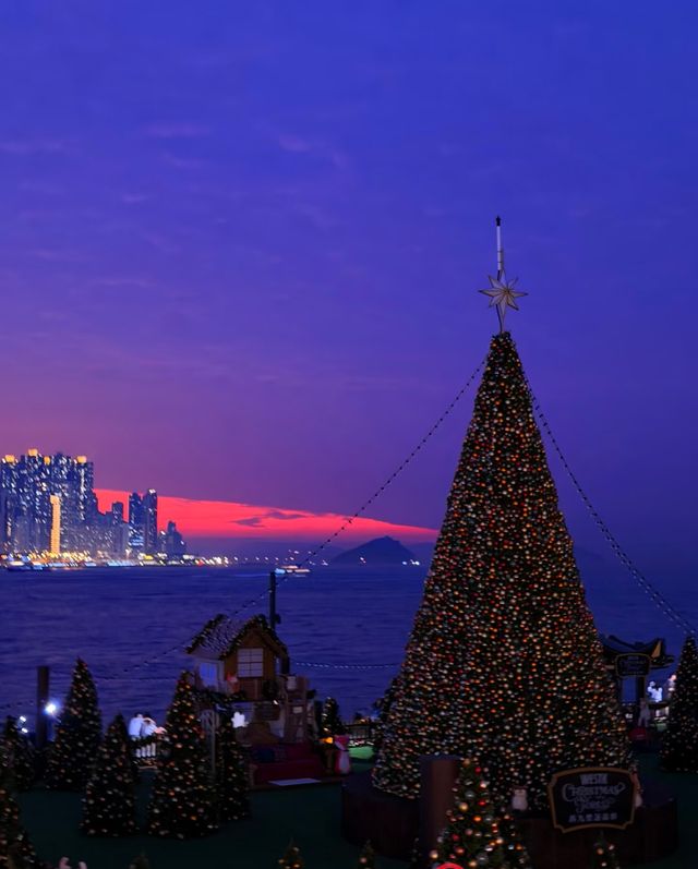 香港西九文化區聖誕樹 - 尖沙咀, 香港 - 全年 全天開放  - 超適合拍照打卡哦 - 聖誕