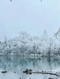 不去川西也能玩雪!部分無門票!
