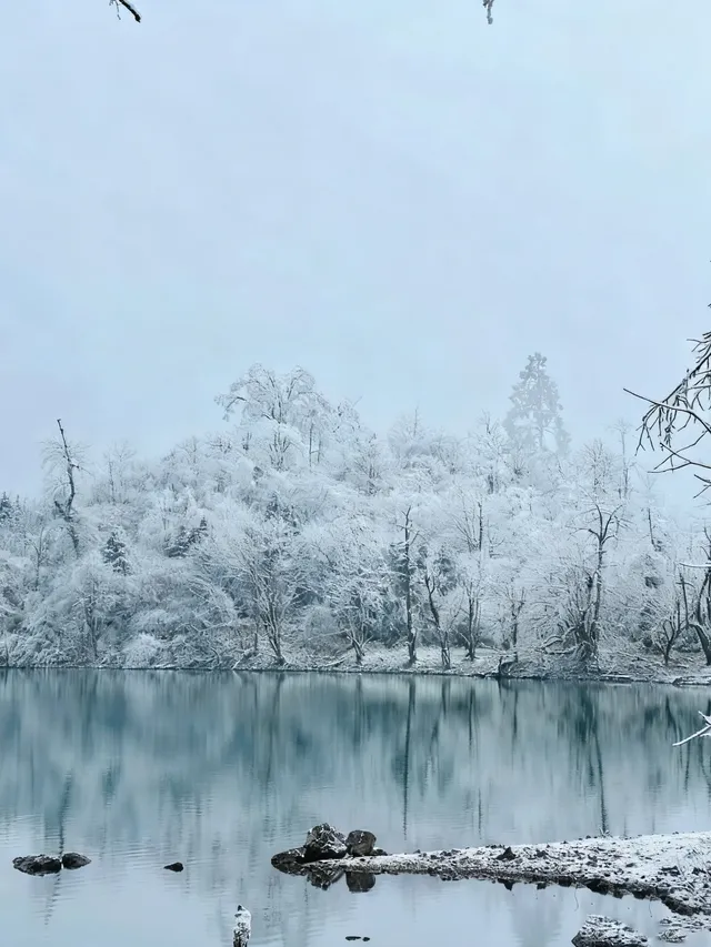 不去川西也能玩雪!部分無門票! 不去川西也能玩雪!部分無門票!