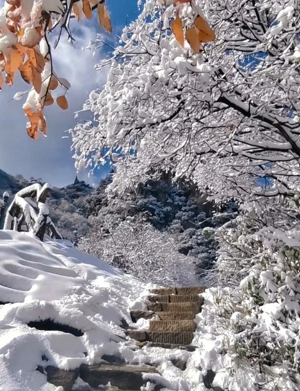 翠華山迎中雪,銀裝素裹秘境再現 翠華山迎中雪,銀裝素裹秘境再現