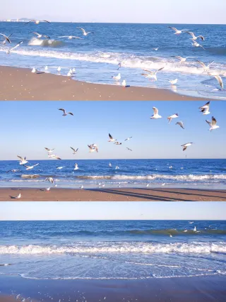 이 가장 외로운 해변 크리스마스 트리를 찍고 나서, 아나야를 떠납니다…