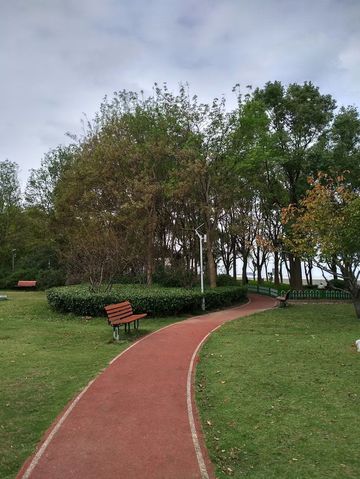 免費且24h開放!上海小眾江景公園,騎行觀鳥太絕了 免費且24h開放!上海小眾江景公園,騎行觀鳥太絕了