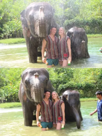 Phuket Nadi Elephant Camp｜The feeding experience tour is so healing