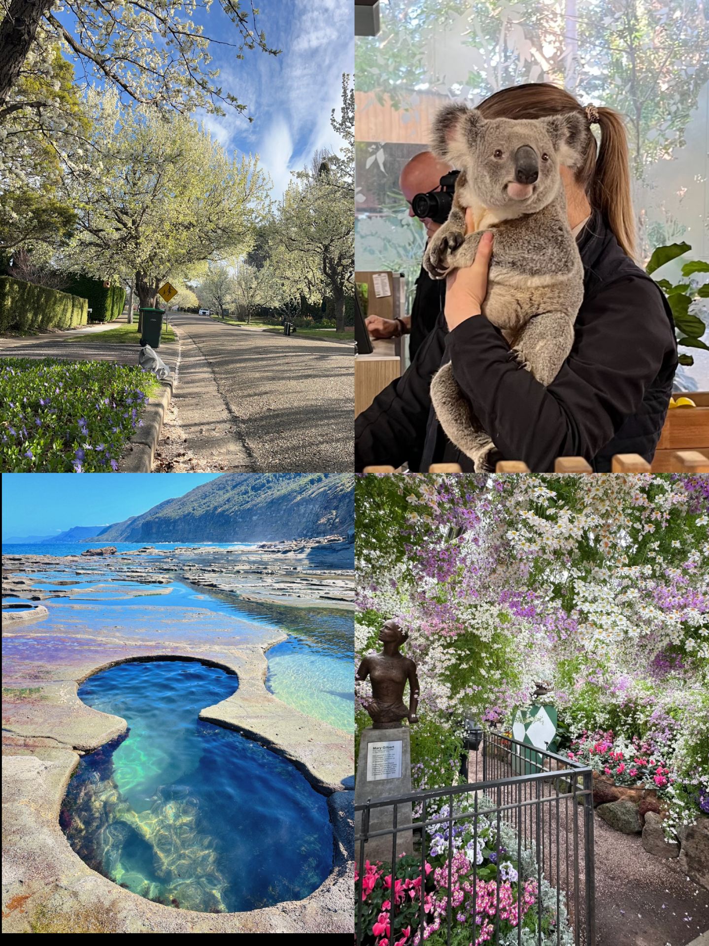 Australia Spring Escape Plan｜5 Healing Destinations Recommended