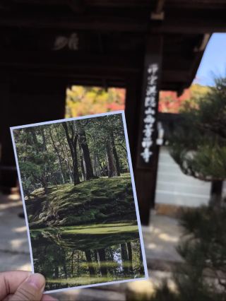 Moss Temple Must-Visit Guide: This Stunning Hidden Gem in Kyoto is Breathtaking