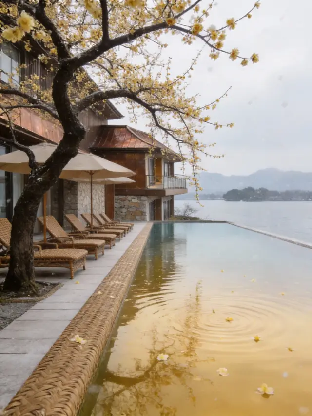 冬日限定！帶小朋友邂逅金燦燦的「花中仙子」～