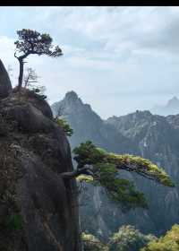 三清山保姆級攻略|交通+住宿+美食+路線一篇搞定