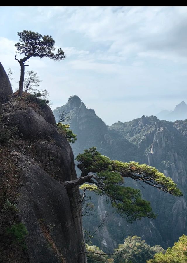 三清山保姆級攻略|交通+住宿+美食+路線一篇搞定